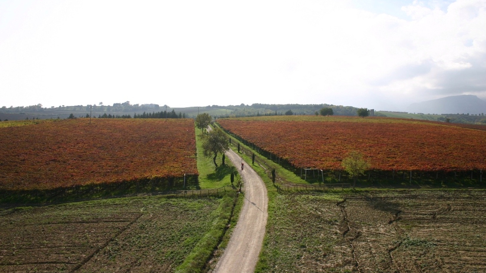 9010 TorreRaone 4
