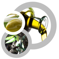 Olive Oil