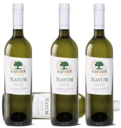 NATUM TREBBIANO