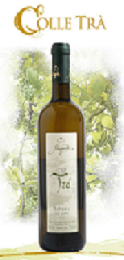 COLLE TRA' :: Malvasia I.G.T. Colli Aprutini