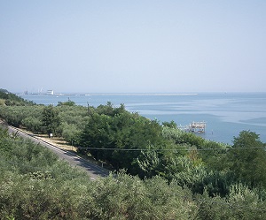 Ripari Bardella e i Trabocchi :: 726